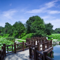景点模块 