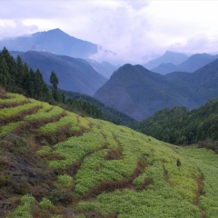 丰都鬼城