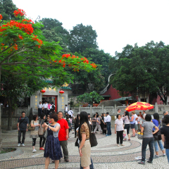 妈祖阁 景点模块