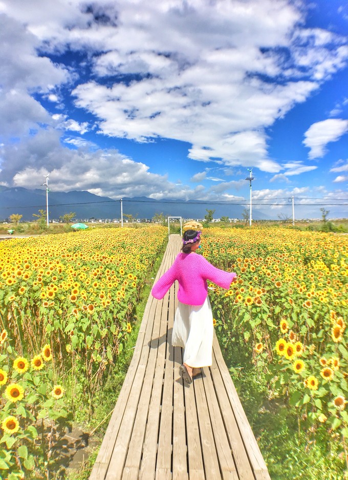 才村的花海有很多,都是本地居民自己圈地种的,里面放了好多拍写真的