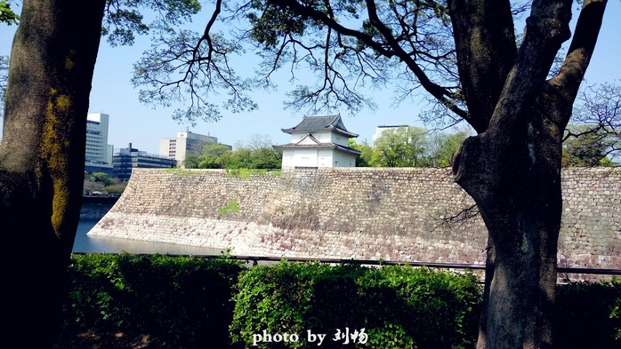 暴走日本-吃大坂美食,看东京全景,游富士山【多图】_金阁寺游记_途牛