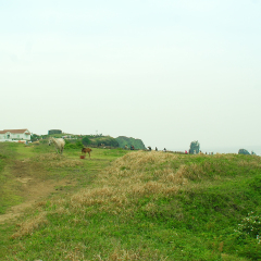 涉地岬