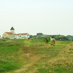 涉地岬