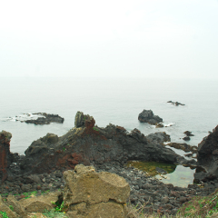 涉地岬