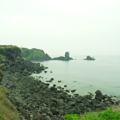涉地岬