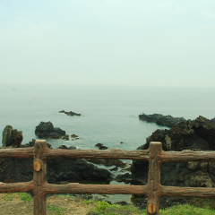 涉地岬