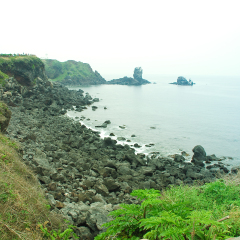 涉地岬