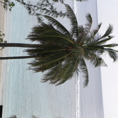 海边