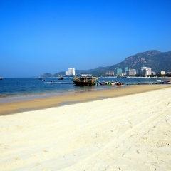 活动模块 