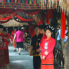 槟榔谷 景点模块