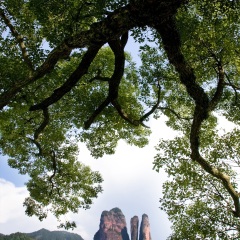 丹霞山
