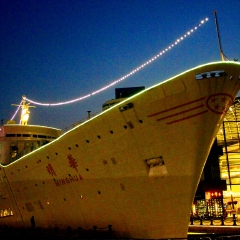 深圳湾的#旅图换旅费#