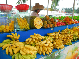 博鳌亚洲论坛成立会址