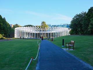 悉尼皇家植物园