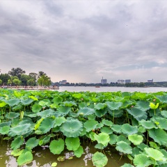 济南大明湖公园