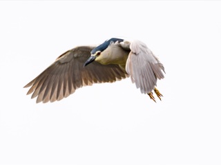 济南大明湖公园