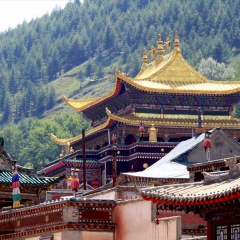 塔尔寺