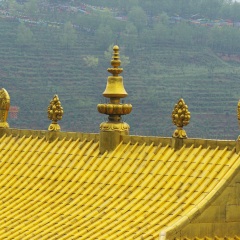 塔尔寺