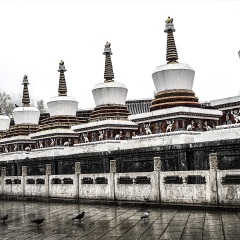 塔尔寺