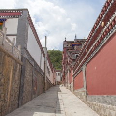 塔尔寺