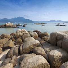 大亚湾