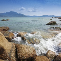 大亚湾