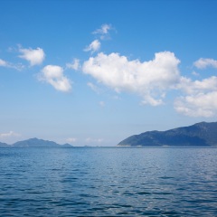 大亚湾
