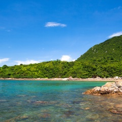 大亚湾