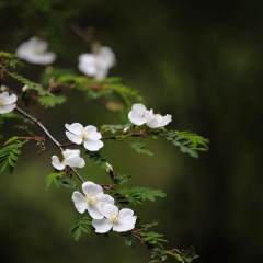 秦岭终南山