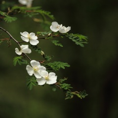 秦岭终南山