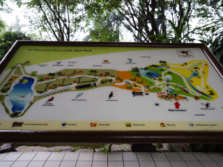 吉隆坡飞禽公园