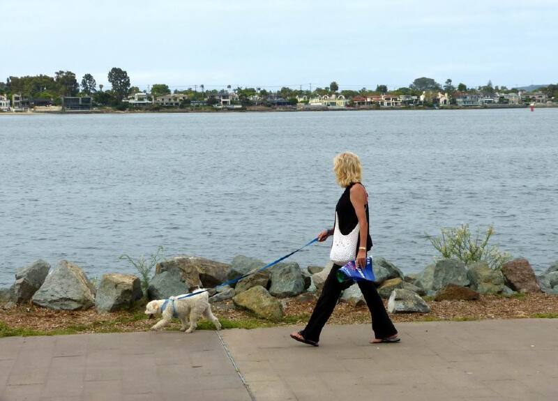      有人在海边遛狗