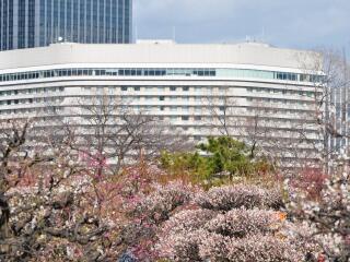 日本大阪私人定制旅游_日本大阪旅游團(tuán)報(bào)價(jià)_日本大阪旅游一次多少錢