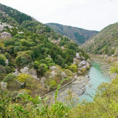 岚山公园的#旅图换旅费#