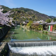 岚山公园的#旅图换旅费#