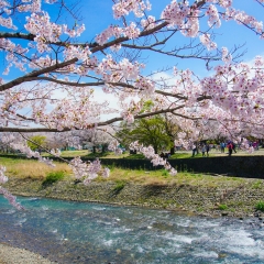 岚山公园的#旅图换旅费#