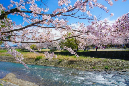<日本大阪机票+当地6日游>A沁心小旅行公寓连住，B沁心小旅行酒店连住，2人起发班，三天FREE，行李46kg