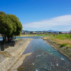 岚山公园的#旅图换旅费#