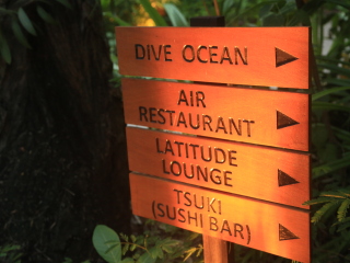 可可波杜希蒂岛