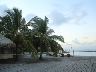 可可波杜希蒂岛