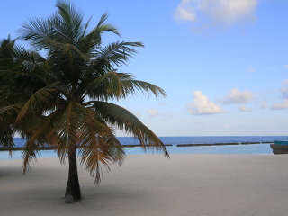 可可波杜希蒂岛