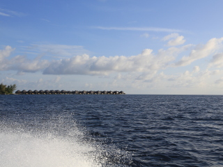 可可波杜希蒂岛