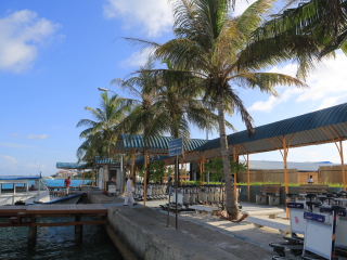 可可波杜希蒂岛