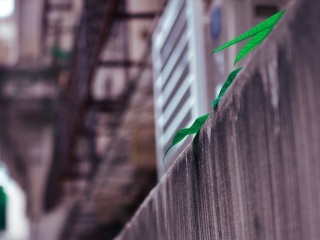 广州红砖厂创意园区