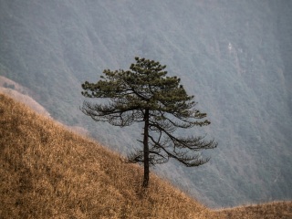 萍乡武功山