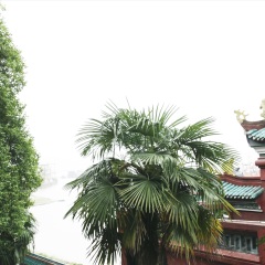 岳阳楼
