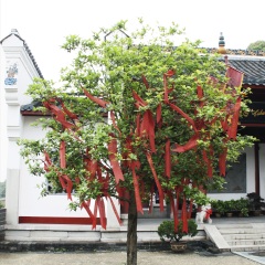 岳阳楼