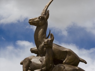 可可西里国家级自然保护区