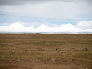可可西里国家级自然保护区