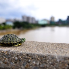 赣州
